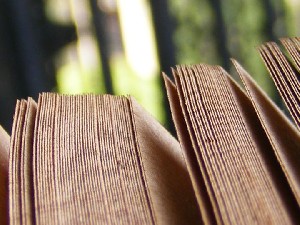 biblioteca 096 copy.jpg